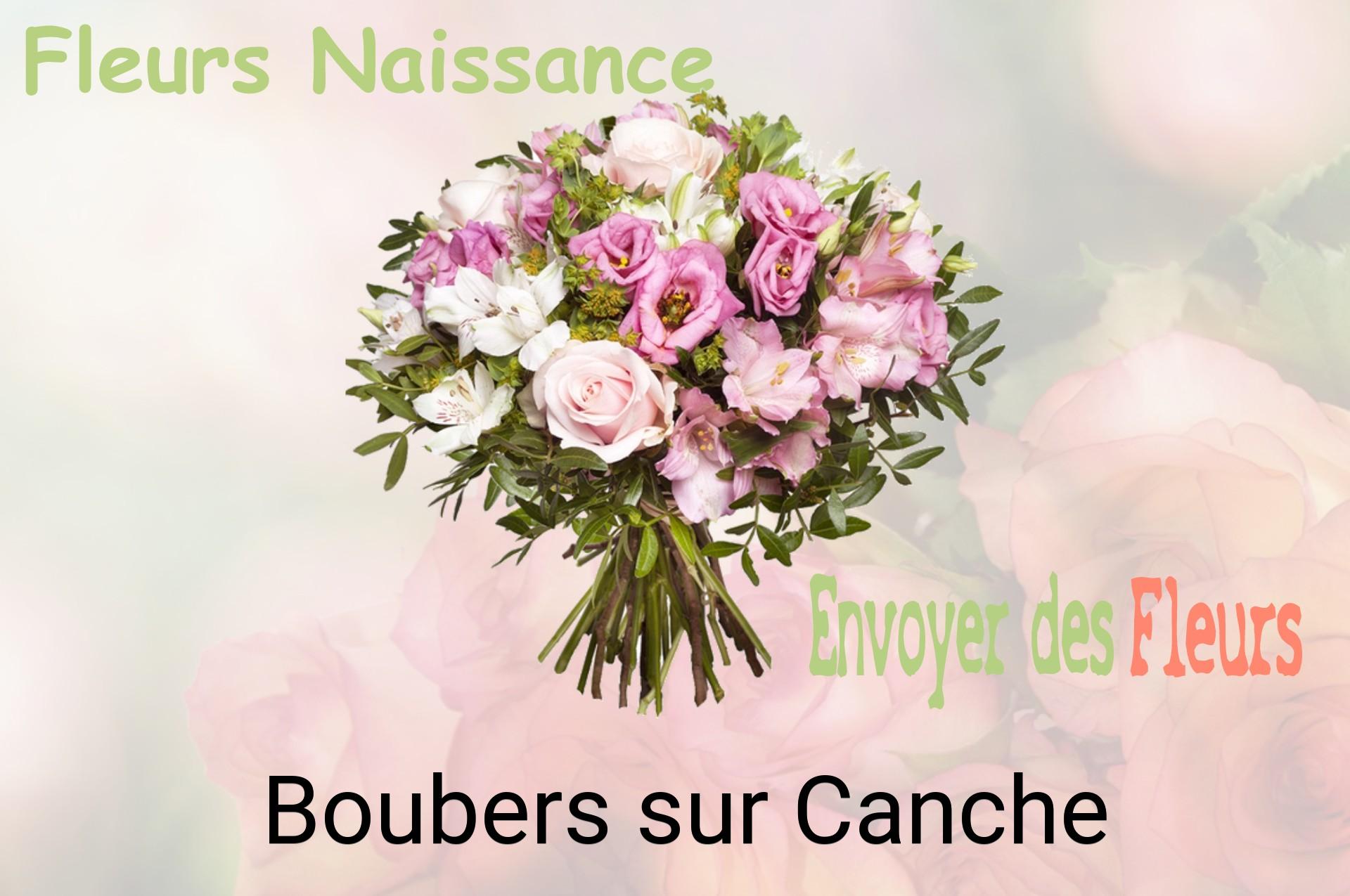 Bouquet de fleurs de naissance livré à Boubers-sur-Canche